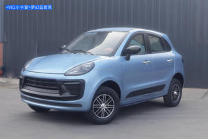 Véhicule électrique à faible vitesse à 4 roues, très vendu, avec moteur de 3500W-5000W et une autonomie de 101-200 km, choix idéal pour les personnes âgées et le transport communautaire - Product Image 4