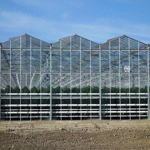 Nông nghiệp Multi-span nhà kính thương mại span nhà kính hot mạ kẽm ống thép phim duy nhất - Product Image 6