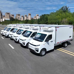 Exportación a Guinea de <span class=keywords><strong>Camión</strong></span> Refrigerado Eléctrico Puro Geely de 3 Metros, Ecológico y Respetuoso con el Medio Ambiente - Product Image 3