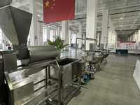 Automatische tomatenpuree productielijn 500kg/uur, tomatensaus verwerkingsmachine met CE-certificering