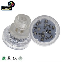 Luz LED RGB Cabuchón E14 AC24 Programable con Controlador para Atracciones de Feria, Venta al por Mayor desde China
