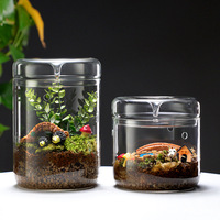 Dôme en verre borosilicate transparent fait main moderne pour plantes éco-responsables, terrarium miniature créatif pour bureau, collection de coupelles