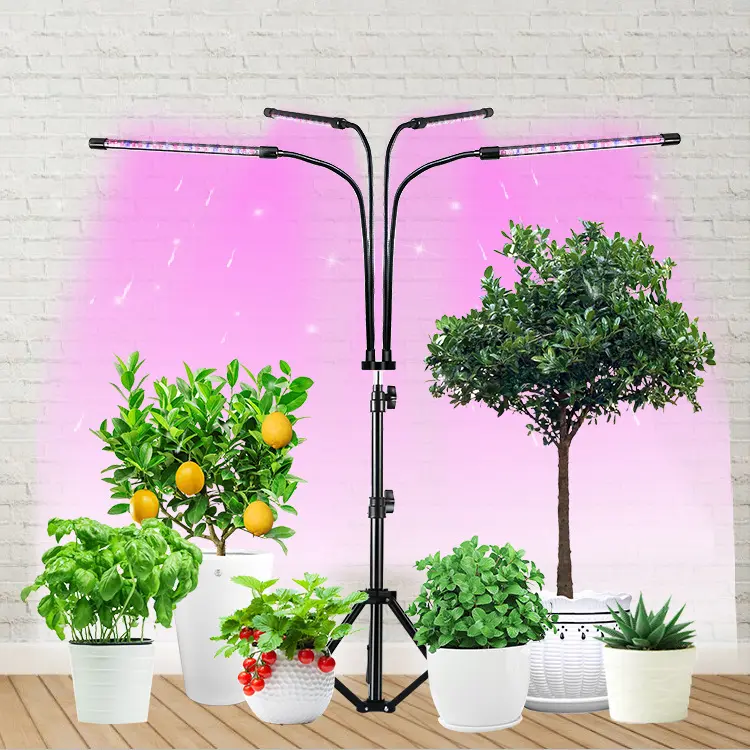 LED-Anbaulichter für Indoor-Pflanzen Vollspektrum mit 15-60 Zoll verstellbarem Stativständer, rote blaue weiße Boden-Anbaulichter