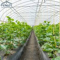 Serre agricole et commerciale de haute qualité serre serre en polycarbonate à ossature métallique