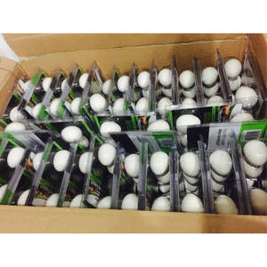 <span class=keywords><strong>Huevo</strong></span> de aves de corral para entrenamiento de nido de pollo, gallinas ponedoras, práctica de plástico, huevos, cría de aves - Product Image 2