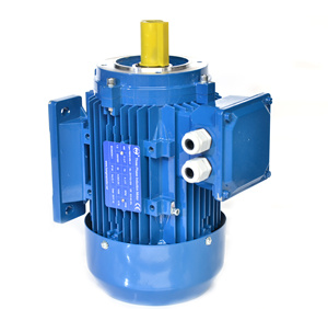 Moteur à induction AC pour ligne de production industrielle 110V 120V 220V 220 380 400 415 Volt 230V 240V 380V 400V 415V - Product Image 2