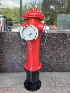 Boca de incendios Sanhui, hierro dúctil para exteriores, SS100/65-1,6, hidrante de extinción de incendios de tipo francés, 1200mm - Product Image 6