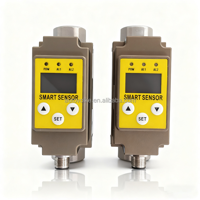 24VDC High Precision Variable Area Stainless