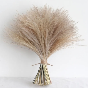 Ramo preservado de hierba de Pampa personalizado auténtico, flores secas naturales de moda para boda en casa para graduación - Product Image 3