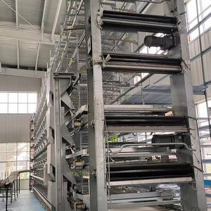 Nieuwe ODM merk H-type automatische legkippenhouderij apparatuur 304 roestvrijstalen batterijkooi automatische eierenverzamelmachine - Product Image 3