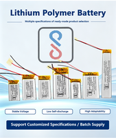 Batterie LiPo personnalisée certifiée BIS 502535 431575 392263 400mAh 450mAh 500mAh 3.7V pour produits électroniques