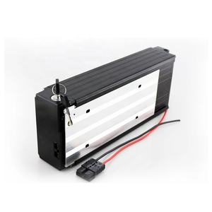 Kalınlaştırılmış Arka Raf E-Bisiklet Aküsü 36V 48V 10-35Ah T032-2 Lityum İyon Paketi, Arka Lamba ve BMS ile 1000W Elektrikli Bisiklet için - Product Image 3