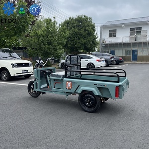 Tricycle électrique de transport de marchandises, tricycle électrique convertible à trois roues, tricycle de transport urbain à carrosserie ouverte, tricycle de loisirs - Product Image 3