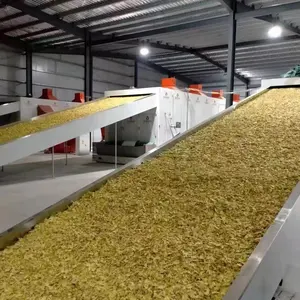 Continuous Conveyor Mesh Belt Vegetable Drying Machine Onion Ginger CBD Oil Seaweed Drying Equipment