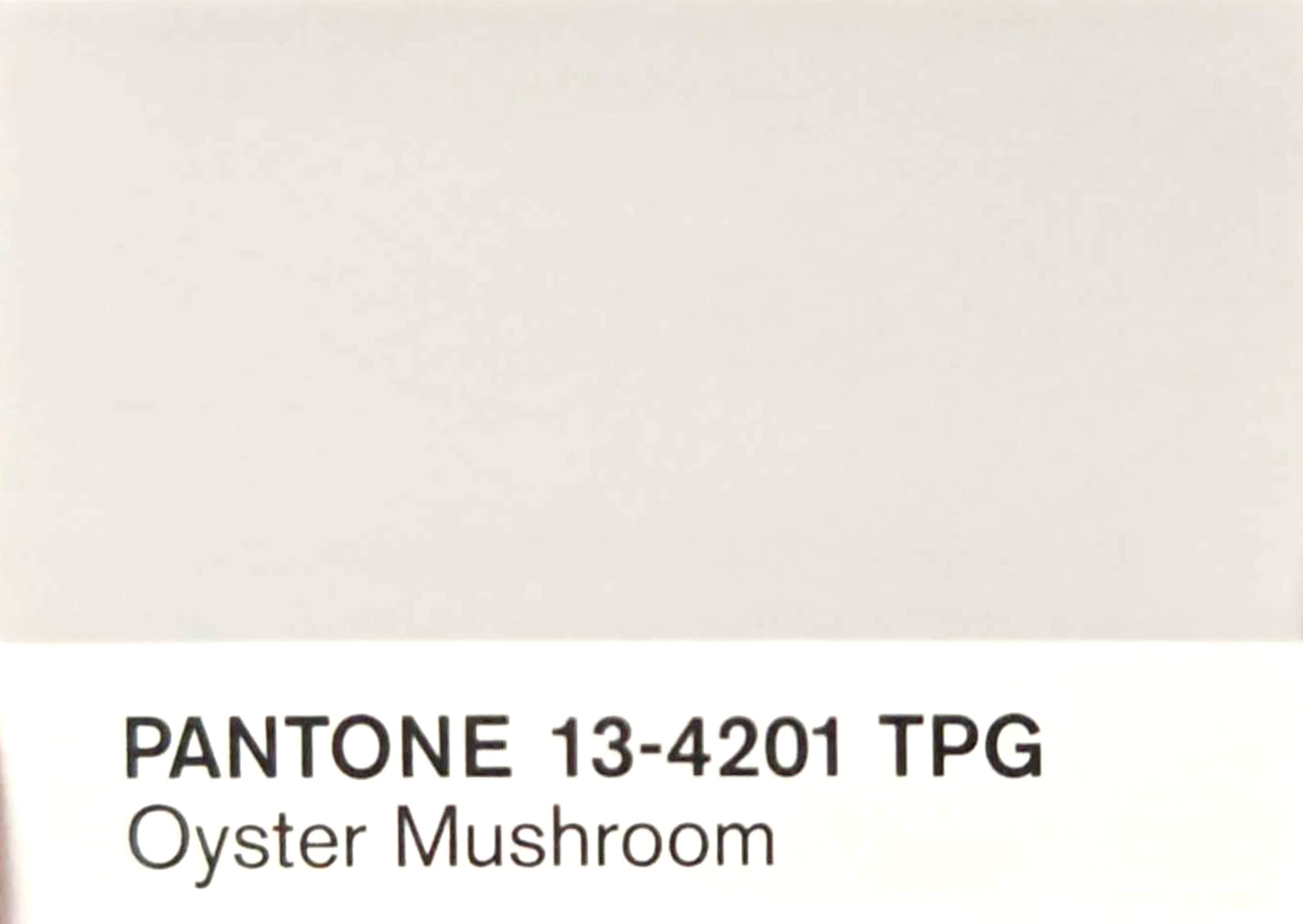 Oyster Mushroom