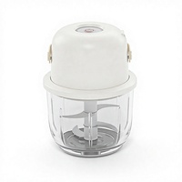 Hachoir miniature sans fil portable pour la maison, alimenté par batterie, capacité de 300 ml, avec lames en acier inoxydable, faible bruit