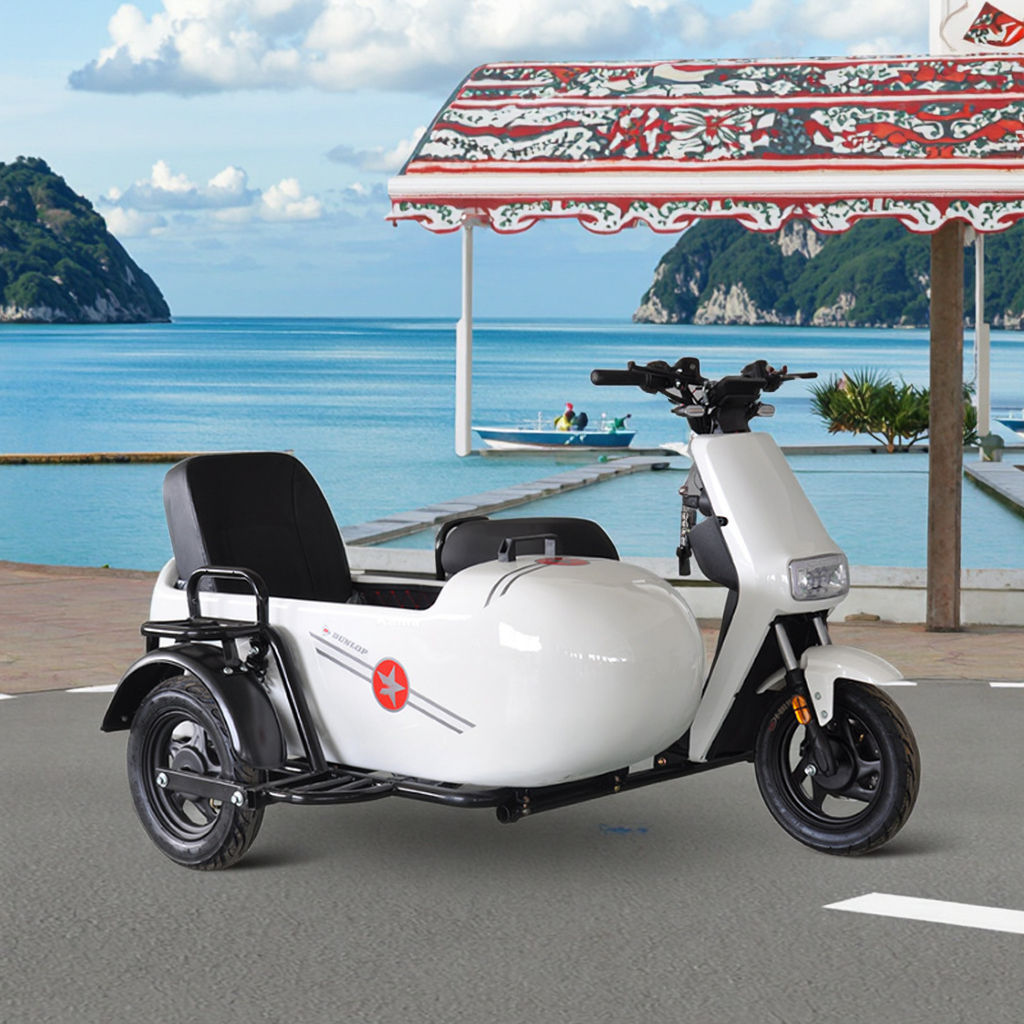 Brand New Tricycle With Sidecar Price Sidecar Tricycles Durable