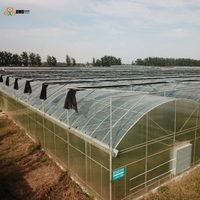 Film de serre agricole premium PO à haute transmission lumineuse, film de couverture en plastique durable, vente en gros directe usine