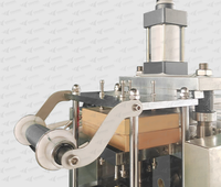 Machine d'emballage sous blister automatique jetable, machine d'emballage sous blister électrique en plastique souple pour stérilisation PVC PE