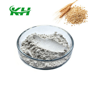 High Quality <strong>Best</strong> Price Health Supplement 1000ppm 2000ppm 5000ppm Selenium Enriched <strong>Malt</strong> <strong>Powder</strong> - Product Image 1