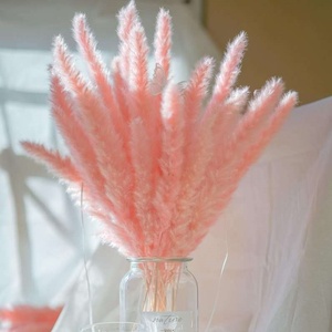 Fleurs séchées de pampa (blanchies) pour décoration de mariage, fête des mères, Saint-Valentin, Noël, Pâques - Multicolore, 60 cm de <span class=keywords><strong>longueur</strong></span> - Product Image 2