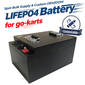 Duurzame 48V 60Ah LiFePO4-batterij voor robuust gebruik in elektrische go-karts - Product Image 1