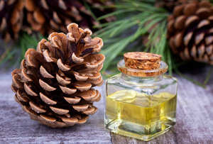 Aceite Esencial de Cedro Premium para el Cuidado del Cabello, la Piel y el Cuerpo, para Terapia de Masajes, Tratamiento de Spa, Relajación y Rutina de Cuidado de la Piel - Product Image 2