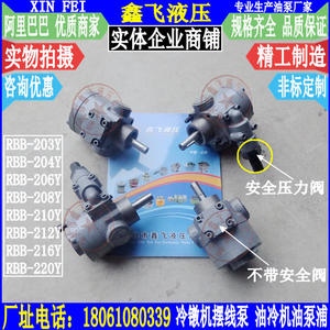 Pompes à huile à engrenages cycloïdaux RBB-203Y RBB-204Y RBB-206Y RBB-208Y pour utilisation marine, pompes à huile pour machines à emboutissage à froid haute pression - Product Image 1