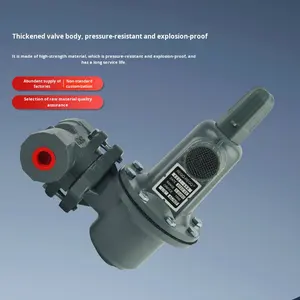 Regolatori e Valvole di Riduzione per <span class=keywords><strong>Gas</strong></span> Naturale ad Alta Pressione di Alta Qualità Prodotti in Cina - Product Image 3