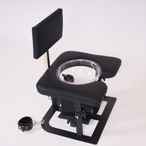 SMHigh-end Appareil de lavage facial à l'eau bénite, Outils dorés pour entraînement de punition intense, position assise sur les toilettes, esclave, punition sévère - Product Image 3