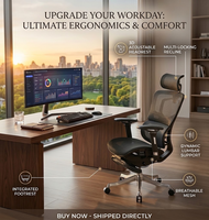 Chaise de bureau de luxe en maille avec inclinaison à 160 degrés, repose-pieds coulissant, accoudoirs 6D, vérin à gaz de classe 4, chaise de bureau ergonomique