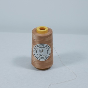 Chất Lượng Cao Bán Buôn 502 4000Y Tốc Độ Cao <span class=keywords><strong>Spun</strong></span> 100% <span class=keywords><strong>Polyester</strong></span> May Threadfluorescent Màu Chủ Đề Giá Rẻ Swing Dòng - Product Image 6