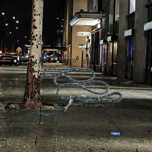 Kaymaz Tasma, Şoklama Özellikli, 8 Şeklinde Köpek Yürüyüş Tasması, Yansıtıcı, Sıkılaştırıcı Tokalı, Hafif Köpek Tasması, Taktik - Product Image 3