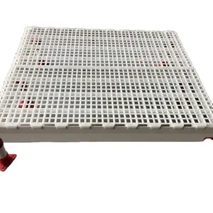 2019 best-selling poultry chicken farm equipment plastic raised slat floor for sale