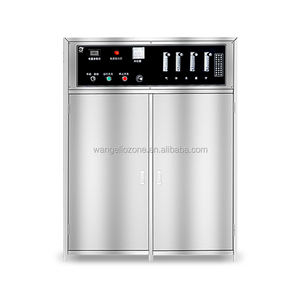 Levensduur Huishoudelijke Industriële 100G Waterbehandeling Ozon Generator - Product Image 4