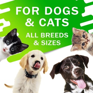 Gotas de hierbas para la <span class=keywords><strong>tos</strong></span> de la perrera para perros <span class=keywords><strong>y</strong></span> gatos-Alivio de la <span class=keywords><strong>tos</strong></span>-Chupete para la garganta-<span class=keywords><strong>Tos</strong></span> seca <span class=keywords><strong>y</strong></span> húmeda para mascotas - Product Image 5