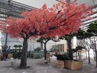 Service de conception gratuit, grand arbre d'érable artificiel en fibre de verre, toucher naturel, érable rouge d'automne pour décoration intérieure et extérieure de luxe