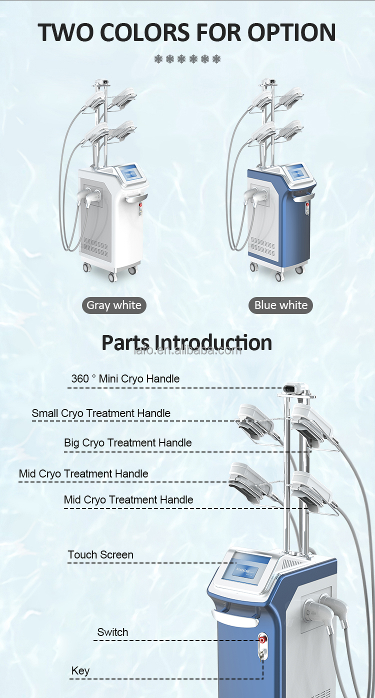 Non Invasive 5 cryo Handles Slimming Cryolipolysis 360 Fat Reduction Slimming Criolipolisis Machine LF-245D