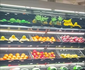 Supermarket Vertical <strong>Display</strong> Cases Open Air Cooler Refrigeration Multi Deck <strong>Food</strong> <strong>Display</strong> Fridge - Product Image 5