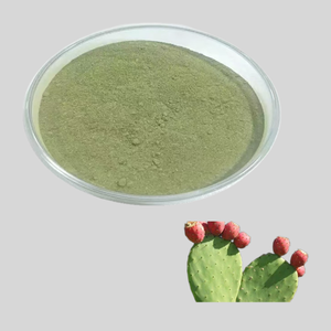 Extracto de Cactus Hoodia 100% Natural en Polvo, 99% Polvo de Cactus Opuntia Ficus Indica - Product Image 2