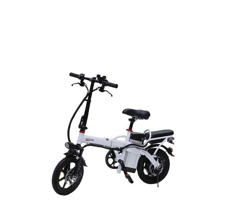 Portable Fat Tire Ebike 20 Inch