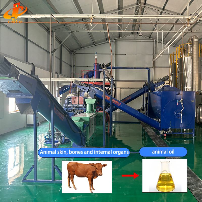 3T Medium Scale Animal Fat Oil