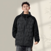 Vente en gros d'usine de vestes en duvet légères pour hommes, nouvelles vestes en duvet pour hommes résistantes au froid, chaudes et élégantes pour l'hiver