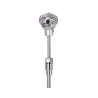 Hank High Precision 0.5%FS Accuracy Stainless Steel Probe K Type Thermocouple PT100 IP55 Waterproof RTD Junction Temperature