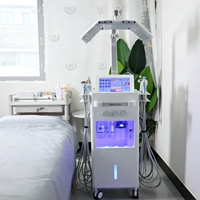 Appareils professionnels de soin de la peau Hydra Dermabrasion 14 en 1, équipement de beauté professionnel, machine de nettoyage du visage Aqua Peeling