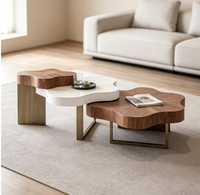 Table basse créative en bois de style nordique, luxe léger, forme spéciale, pour salon, couleur crème nuage