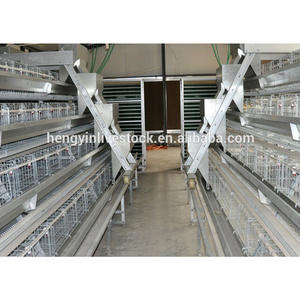 Équipement d'élevage de haute qualité pour cages à animaux, types A/H au choix pour cages à poules pondeuses - Product Image 6