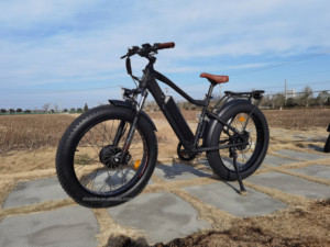 Vélo de montagne électrique tout-terrain 7 vitesses, batterie lithium 48V 17.4Ah, moteurs <span class=keywords><strong>Bafang</strong></span> doubles, pneus larges - Product Image 2