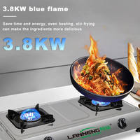 Réchaud portable à double brûleur Réchaud de cuisson au biogaz Table de cuisson au biogaz