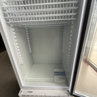 Congélateur commercial à porte simple, anti-buée, dégivrage automatique, classe A, à haute efficacité énergétique